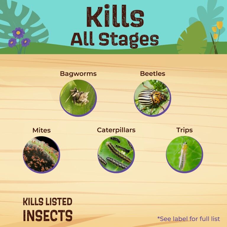 BONIDE Captain Jack's Deadbug Brew Ready-to-Use, 32-Oz