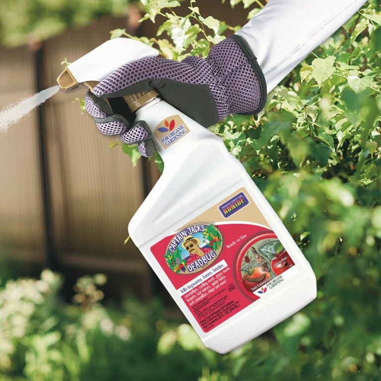 BONIDE Captain Jack's Deadbug Brew Ready-to-Use, 32-Oz