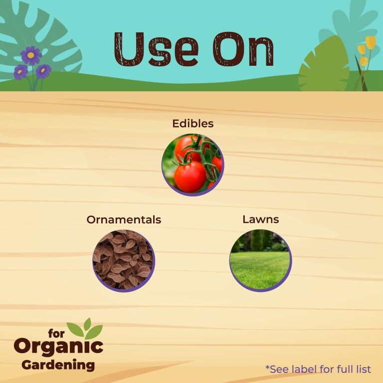 BONIDE Captain Jack's Deadbug Brew Ready-to-Use, 32-Oz