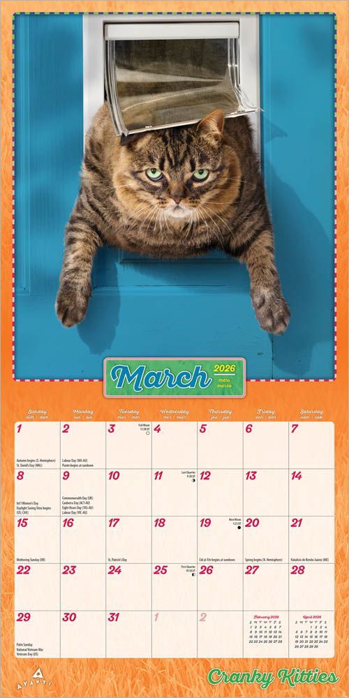 Brown Trout Publisher 2026 Avanti Cranky Kitties Monthly Mini Wall Calendar, 7-In x 14-In