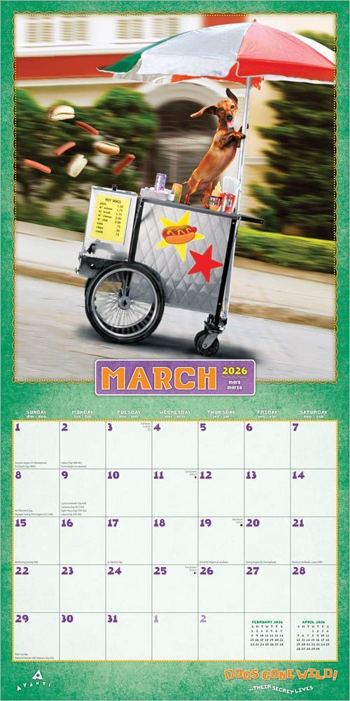 Brown Trout Publisher 2026 Avanti Dogs Gone Wild Monthly Square Wall Calendar, 12-In x 24-In