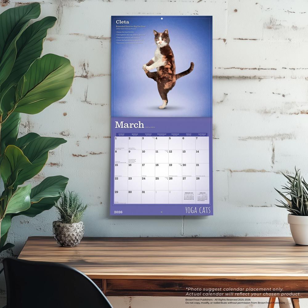 Brown Trout Publisher 2026 Yoga Cats Monthly Square Wall Calendar, 12-In x 24-In