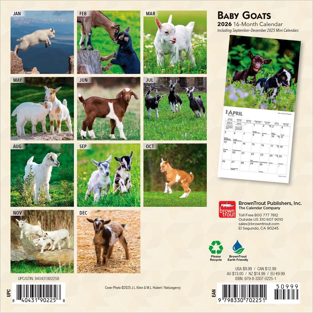 Brown Trout Publisher 2026 Baby Goats Monthly Mini Wall Calendar, 7-In x 14-In