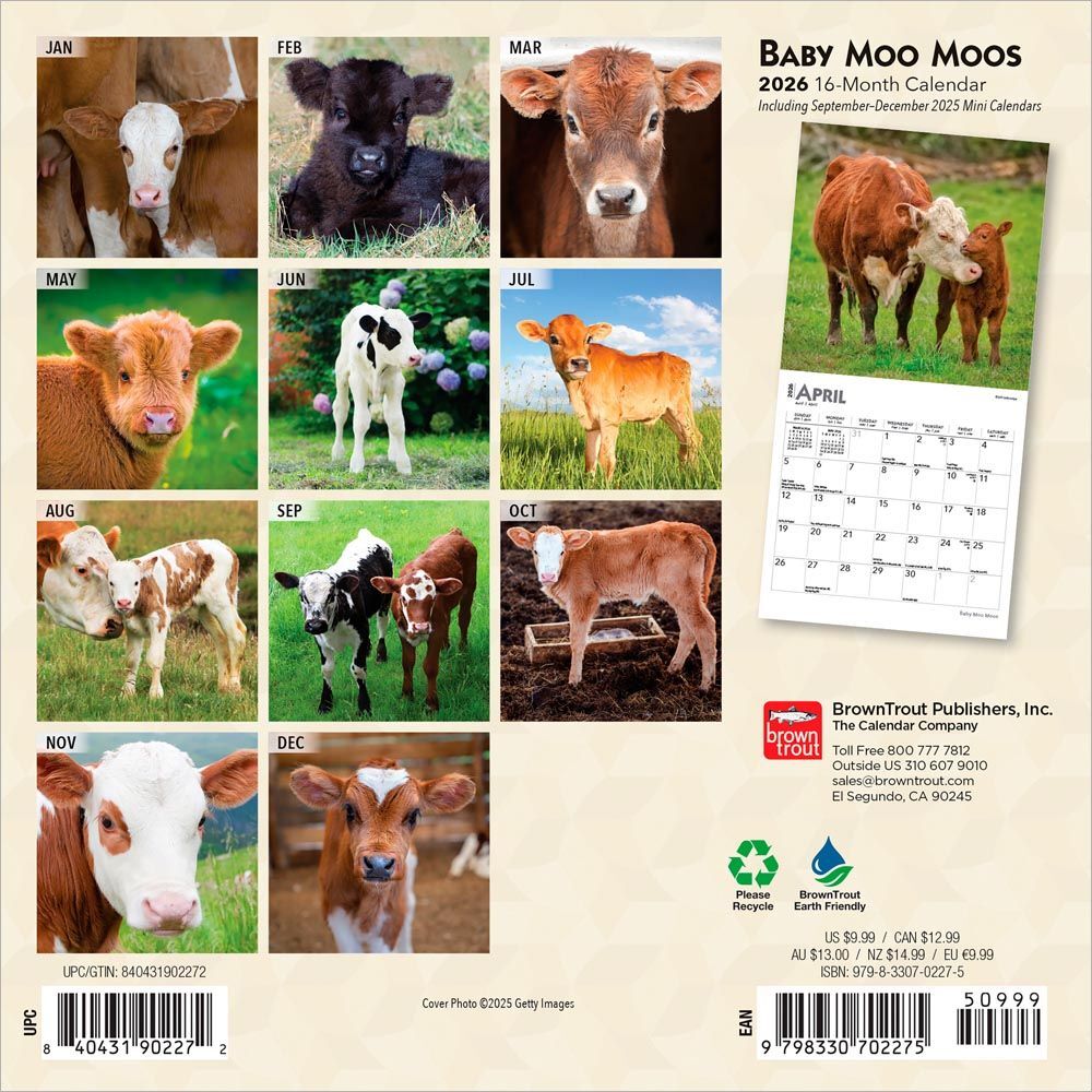 Brown Trout Publisher 2026 Baby Moo Moos Monthly Mini Wall Calendar, 7-In x 14-In