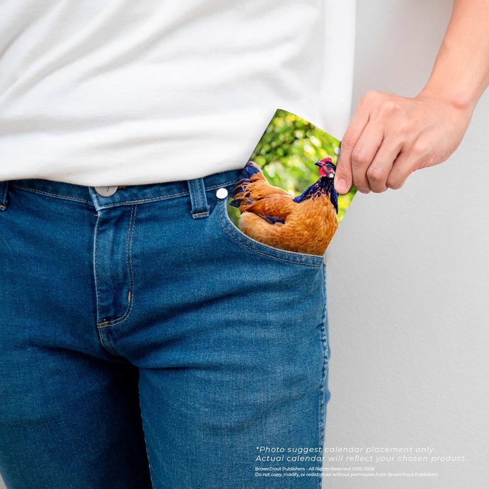 Brown Trout Publisher 2026-2027 Chicken Monthly Pocket Planner Calendar, 3.5-In x 6.5-In