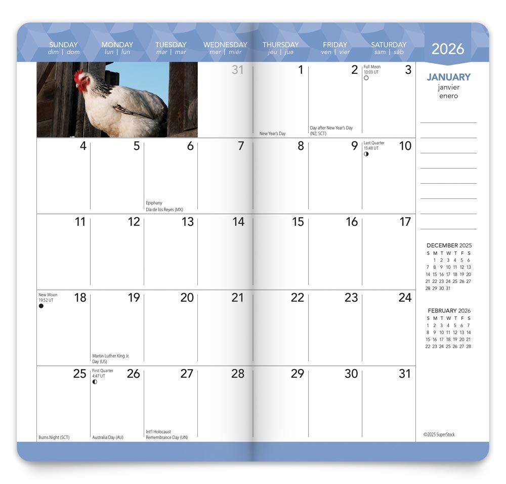Brown Trout Publisher 2026-2027 Chicken Monthly Pocket Planner Calendar, 3.5-In x 6.5-In