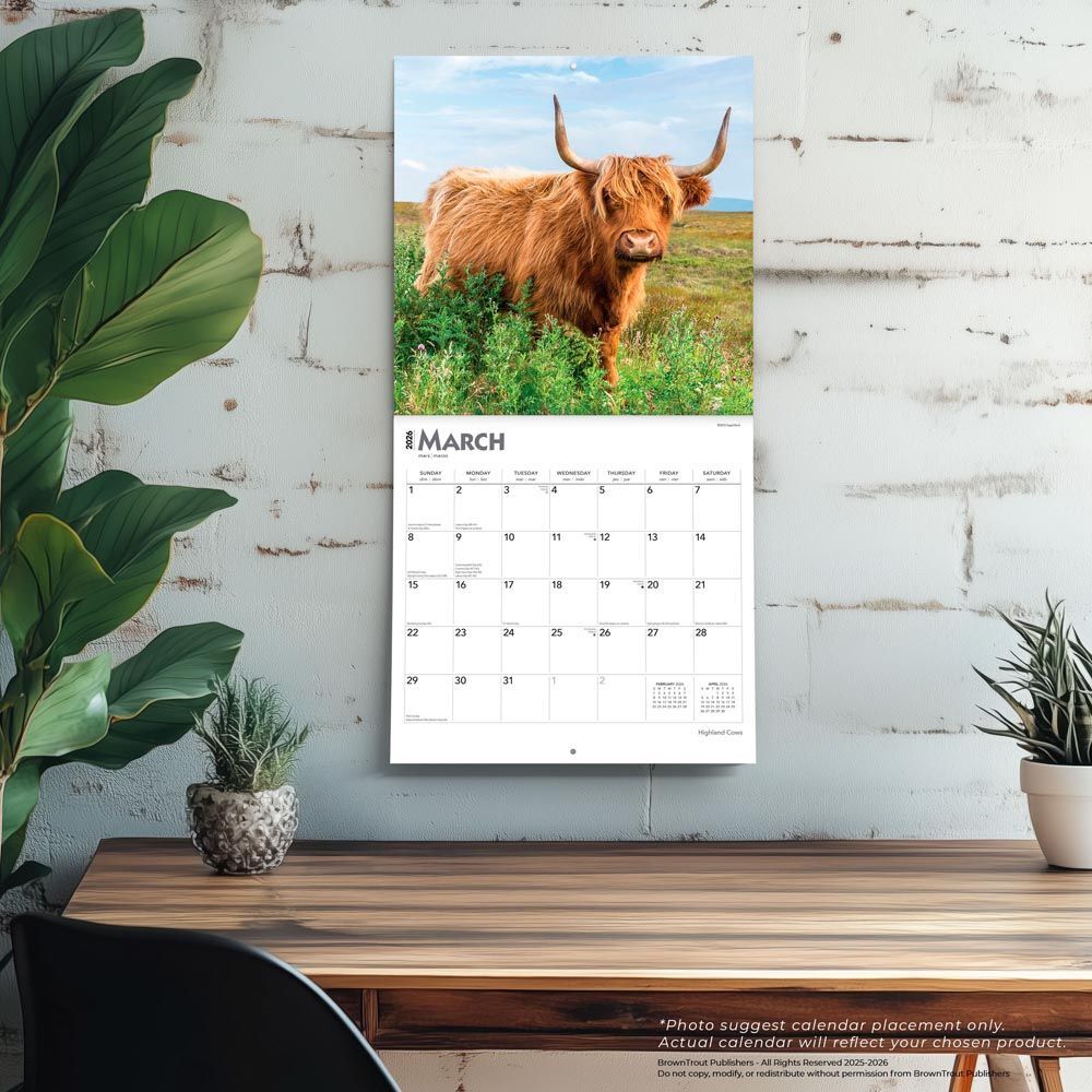 Brown Trout Publisher 2026 Highland Cows Monthly Square Wall Calendar, 12-In x 24-In