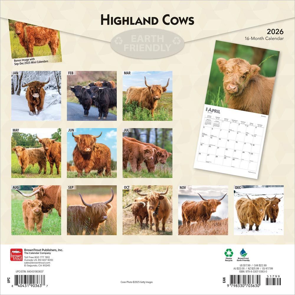 Brown Trout Publisher 2026 Highland Cows Monthly Square Wall Calendar, 12-In x 24-In