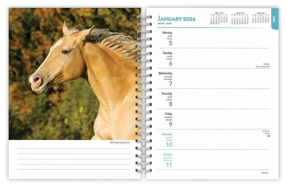 Brown Trout Publisher 2026 Horse Lover Spiral-Bound Weekly Engagement Planner Calendar, 6 x 7.75-In