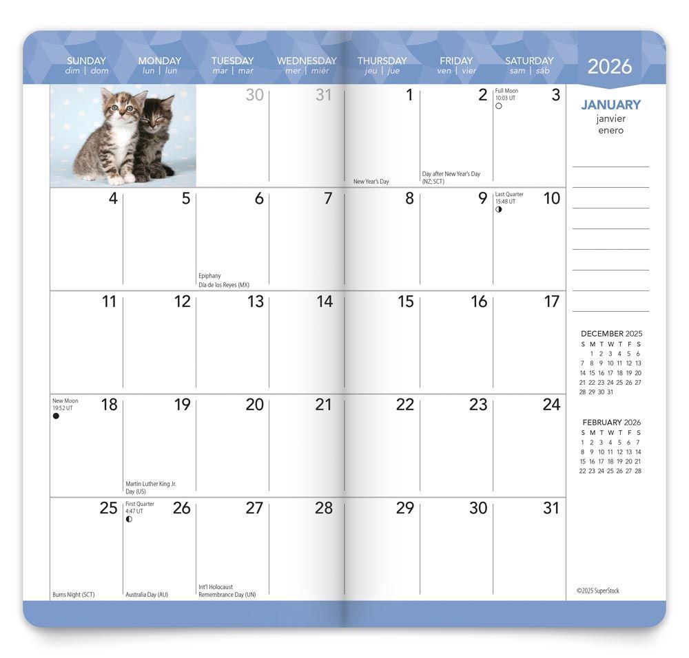 Brown Trout Publisher 2026-2027 Kitten Cuddles Monthly Pocket Planner Calendar, 3.5-In x 6.5-In