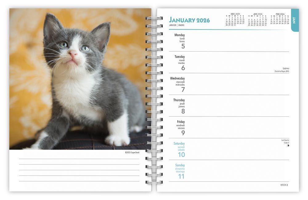 Brown Trout Publisher 2026 Kittens Spiral-Bound Weekly Engagement Planner Calendar, 6-In x 7.75-In