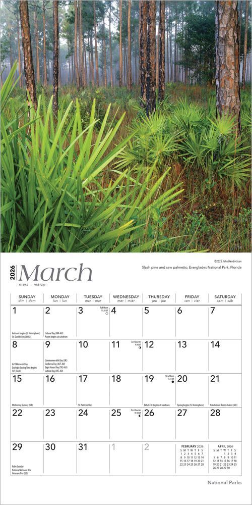 Brown Trout Publisher 2026 National Parks Monthly Mini Wall Calendar, 7-In x 14-In