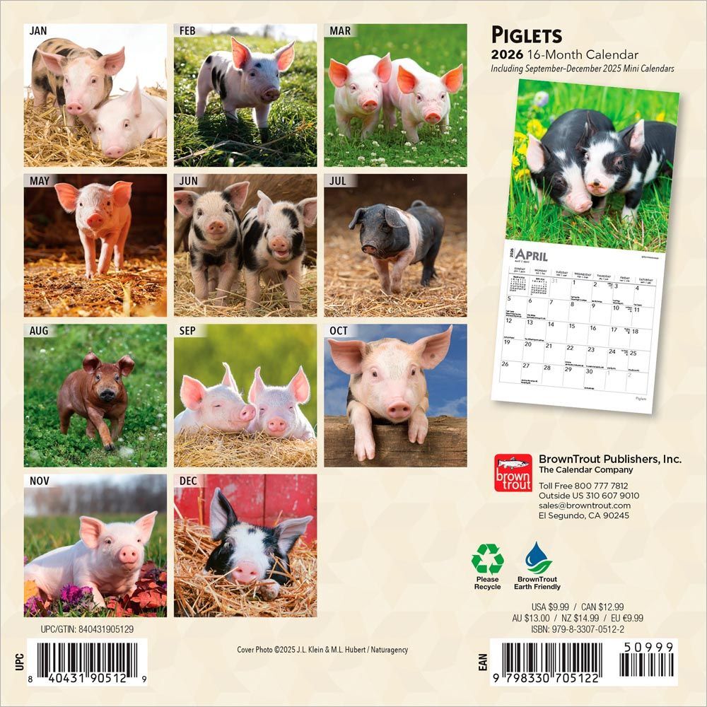 Brown Trout Publisher 2026 Piglets Monthly Mini Wall Calendar, 7-In x 14-In