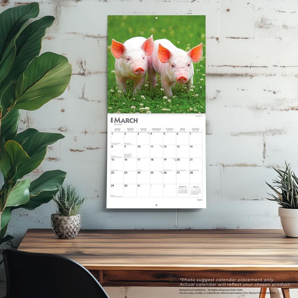 Brown Trout Publisher 2026 Piglets Monthly Square Wall Calendar, 12-In x 24-In