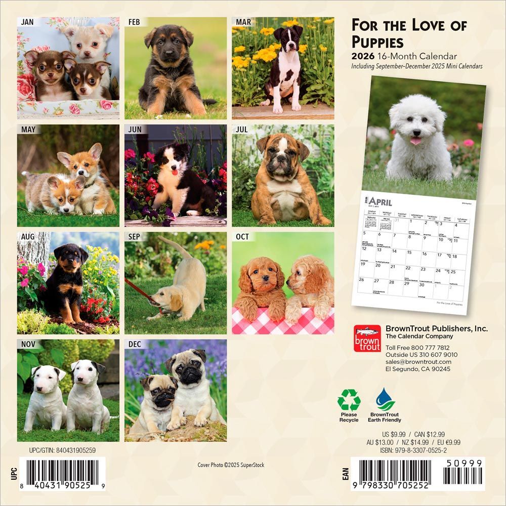 Brown Trout Publisher 2026 For the Love of Puppies Monthly Mini Wall Calendar, 7-In x 14-In