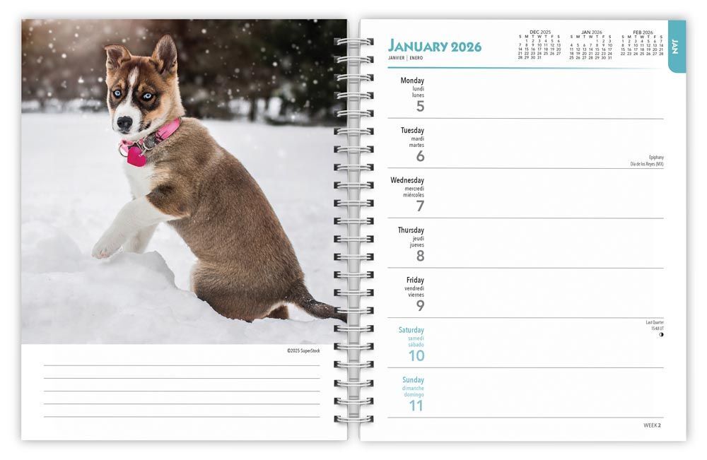Brown Trout Publisher 2026 I Love Puppies Spiral-Bound Engagement Planner Calendar, 6-In x 7.75-In