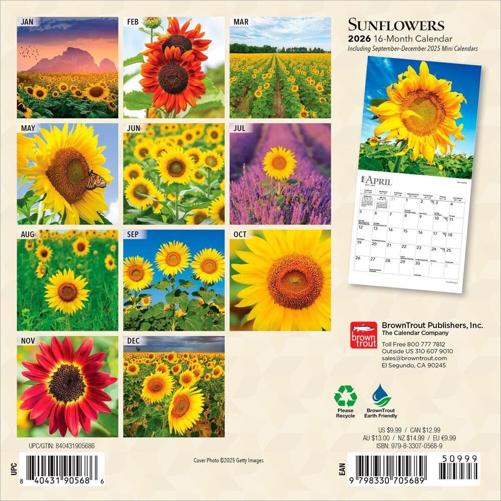 Brown Trout Publisher 2026 Sunflowers Monthly Mini Wall Calendar, 7-In x 14-In