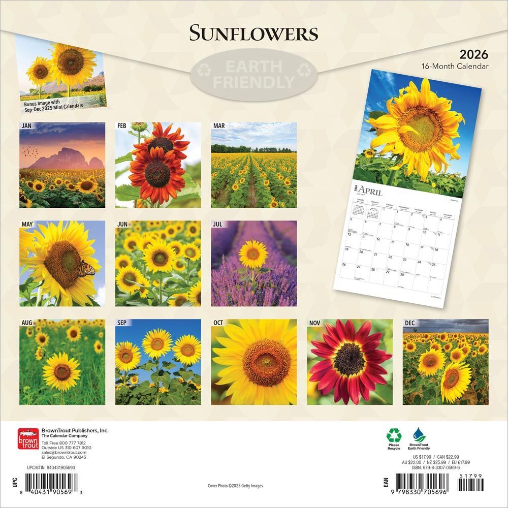 Brown Trout Publisher 2026 Sunflowers Monthly Square Wall Calendar, 12-In x 24-In