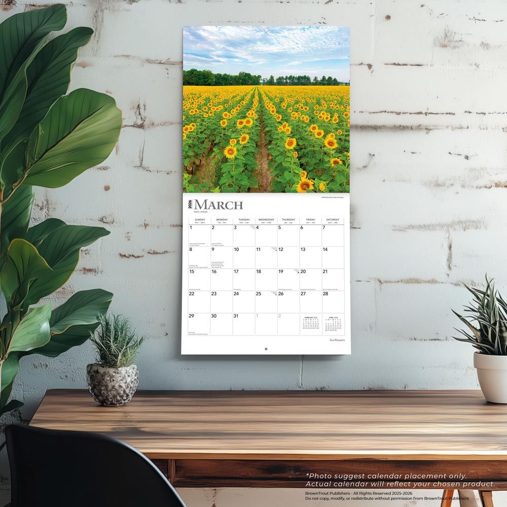 Brown Trout Publisher 2026 Sunflowers Monthly Square Wall Calendar, 12-In x 24-In