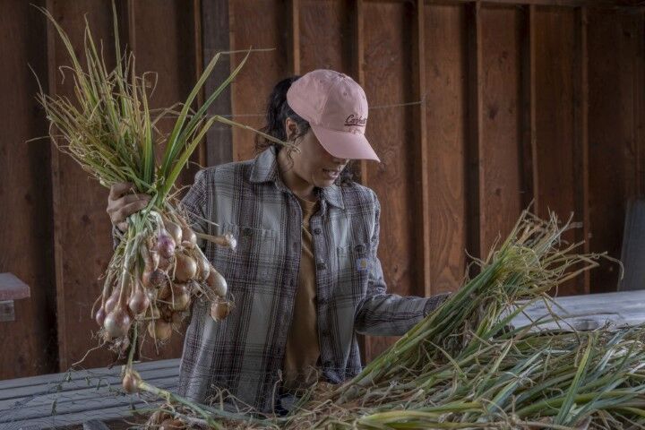 Carhartt Women's Canvas Script Graphic Cap in Sun Bloom