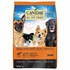 Canidae 30 lb Bag All Life Stages Dry Dog Food - Lamb Meal & Rice