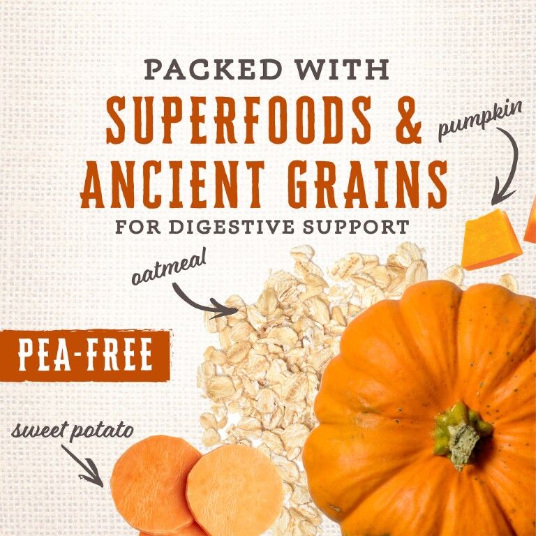 Wholesomes Gourmet Rewards Cheezy Bites Dog Treat Biscuit, Sold By The Pound