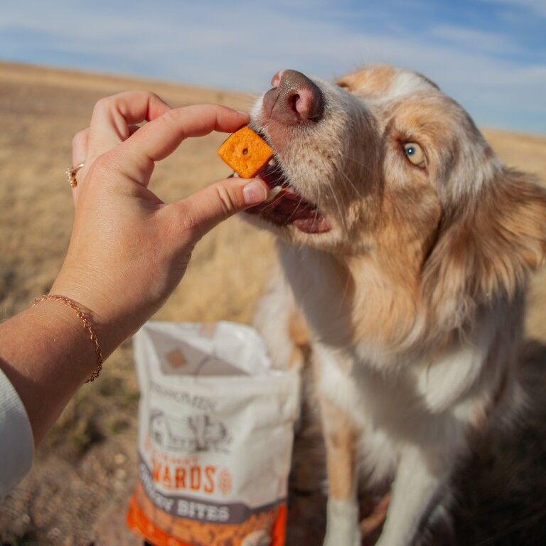 Wholesomes Gourmet Rewards Cheezy Bites Dog Treat Biscuit, Sold By The Pound