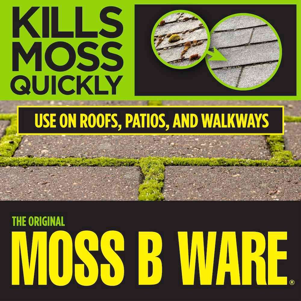 Corry's Moss B Ware, 3-Lb
