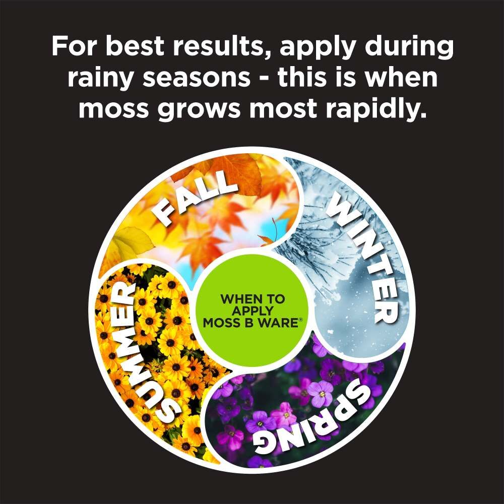 Corry's Moss B Ware, 3-Lb