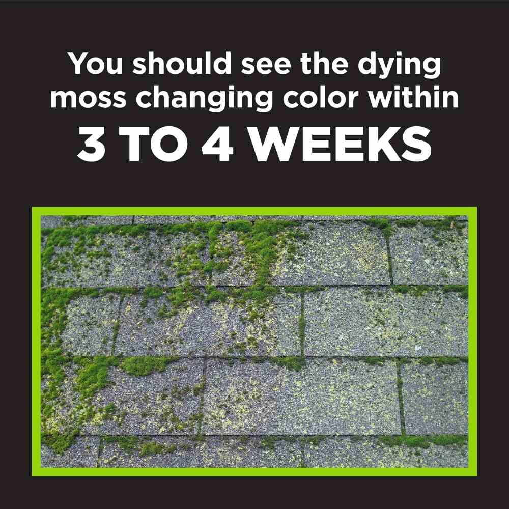 Corry's Moss B Ware, 3-Lb