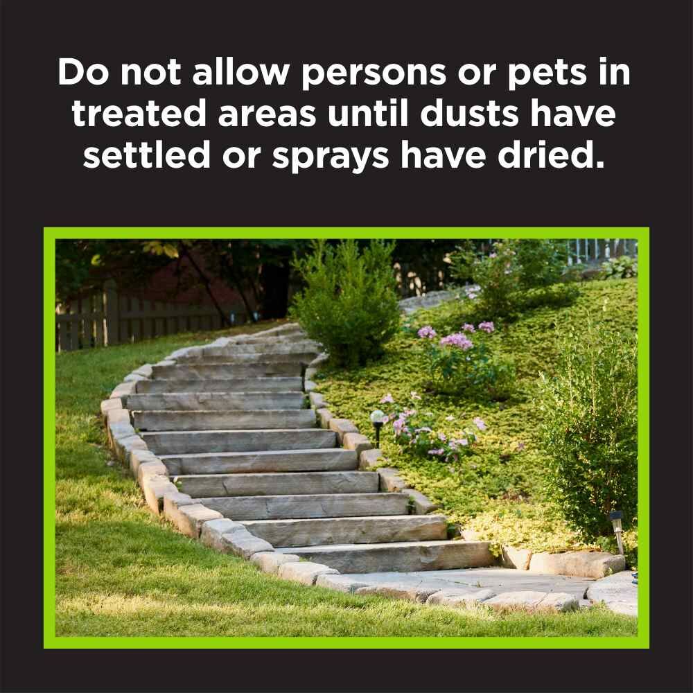 Corry's Moss B Ware, 3-Lb