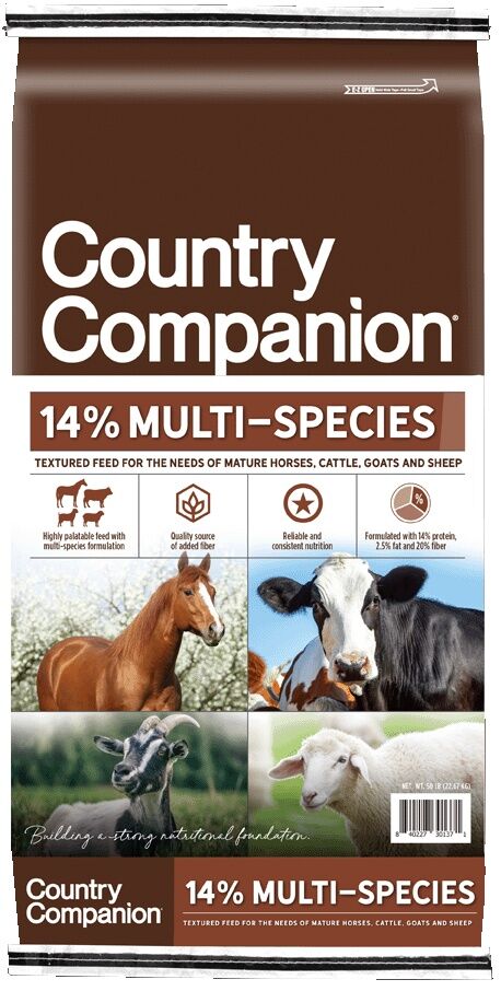 Country Companion 14% Multi-Species Feed, 50-Lb