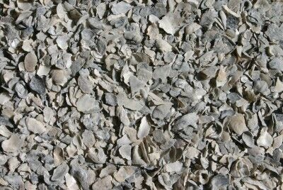 Concentrates Inc. Oyster Shell Lay Blend, 50-lb