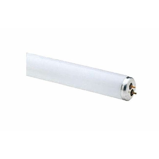 Westpointe 2 Pack 48 In. 32W T8 Linear Fluorescent Tube - White