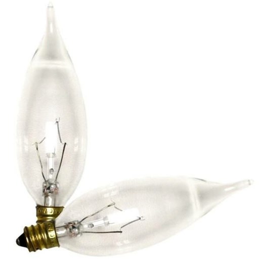 GE Incandescent Light Bulb (2 Pack)