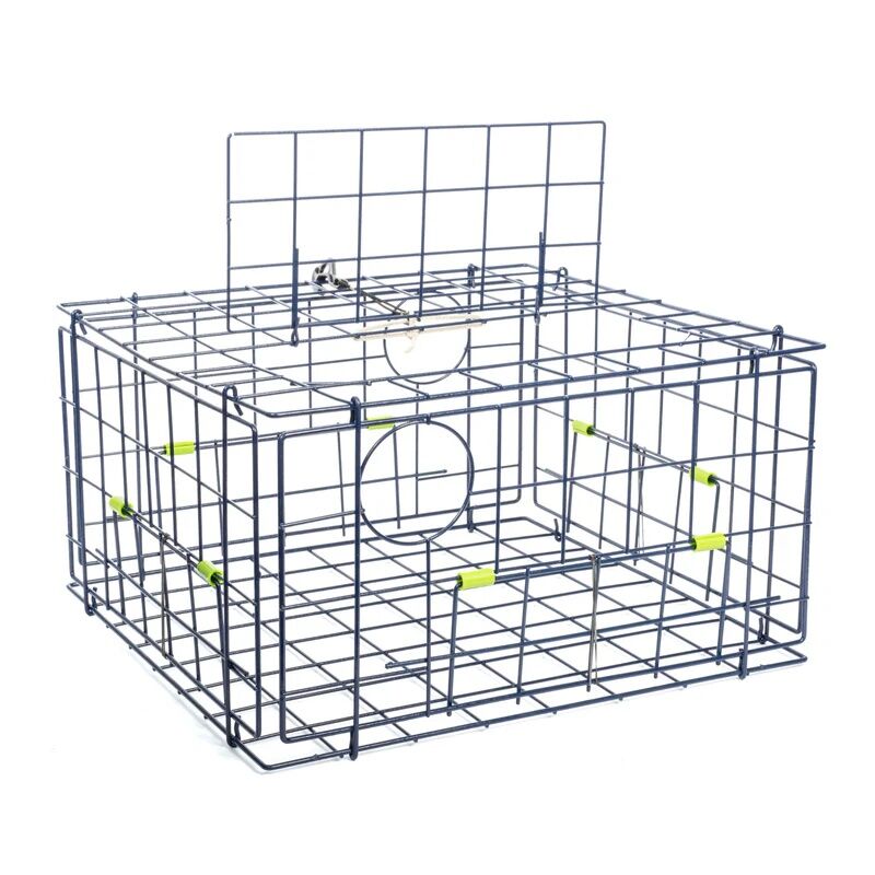 Stampa Brochure, Depliant E Pieghevoli - Foto 11