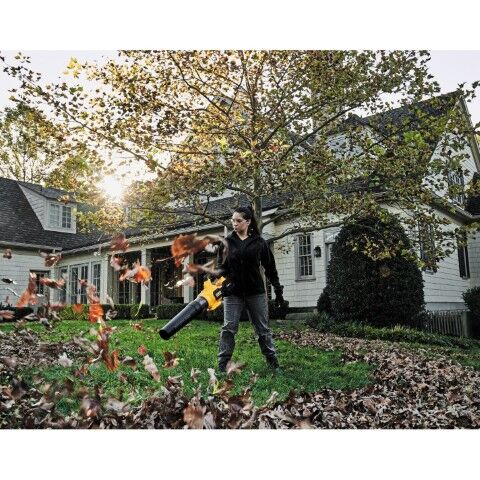 DeWALT 40V MAX* XR® CORDLESS HANDHELD BLOWER (6.0Ah)