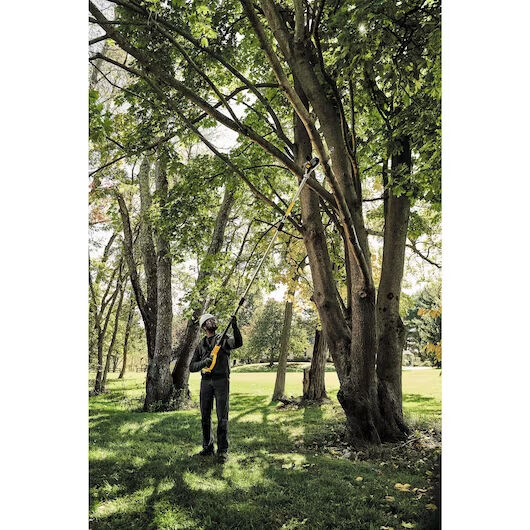 DeWALT 20V MAX* XR® Brushless Cordless Pole Saw (Tool Only)