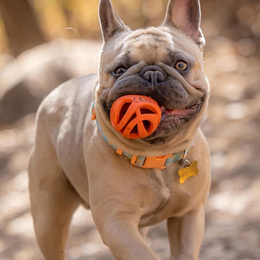 Chuckit! Medium Air Fetch Ball Dog Toy