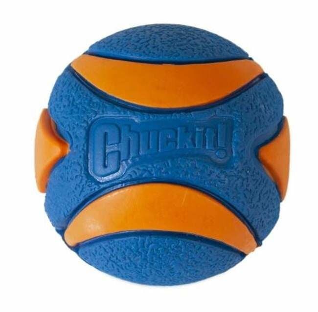 Chuckit! Ultra Squeaker Ball