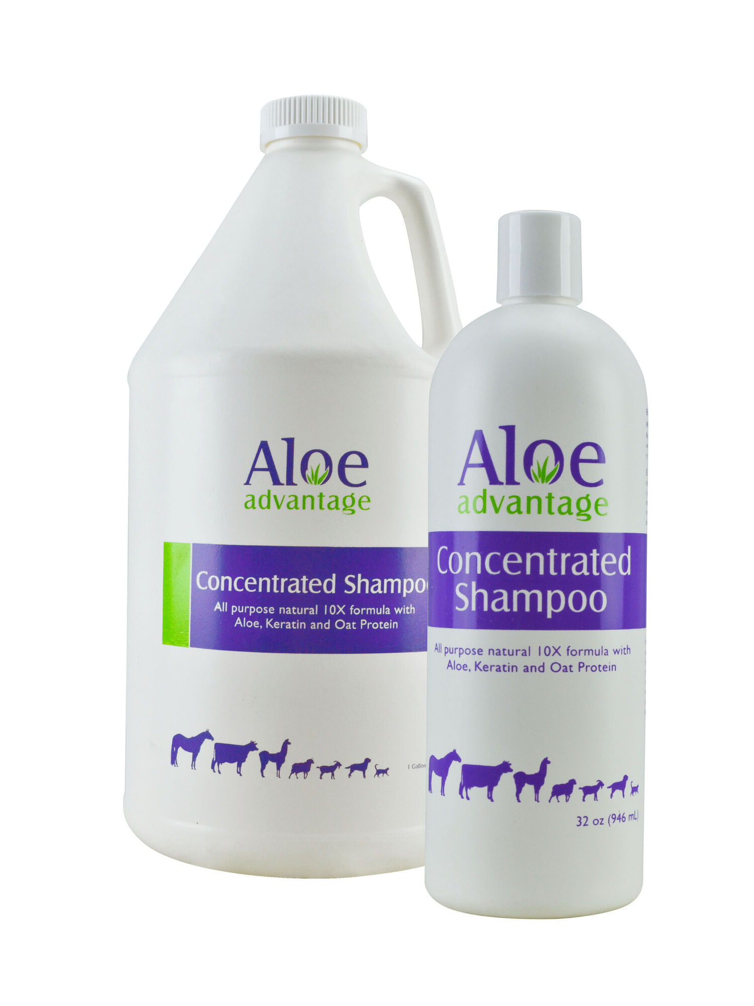 Aloe Advantage Concentrated Shampoo