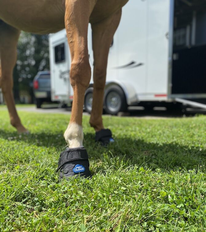 Easyboot Cloud Therapy Hoof Boot Size 4 in Black