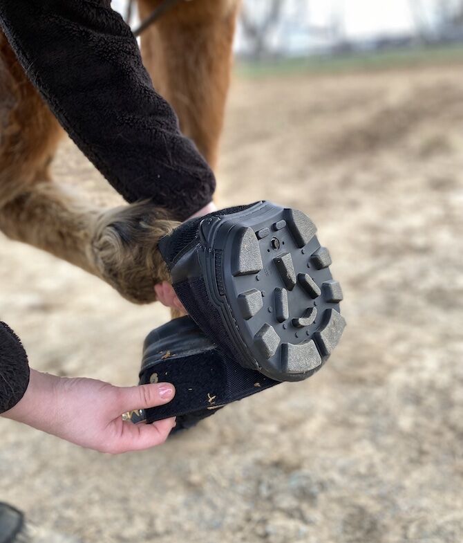 EasyCare Easyboot Trail Horse Single Boot, Size 1