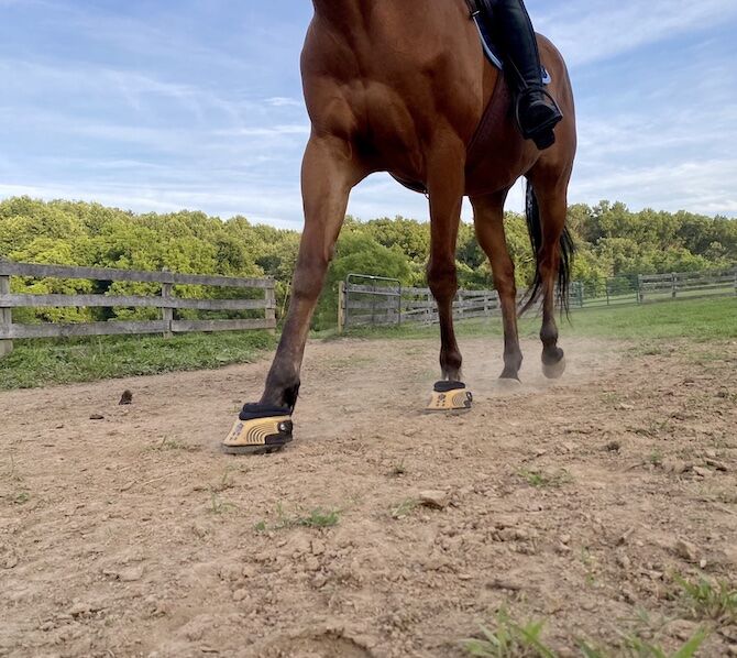 EasyCare Easyboot Trail Horse Single Boot, Size 1