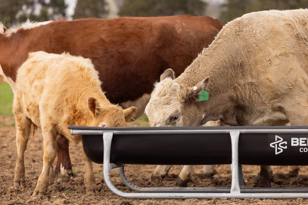 Behlen Country Stockman Black Galvanized Bunk Feeder, 10-Ft