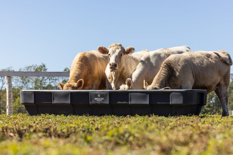 Behlen Country Gray EverTough Poly Bunk Feeder, 10-Ft