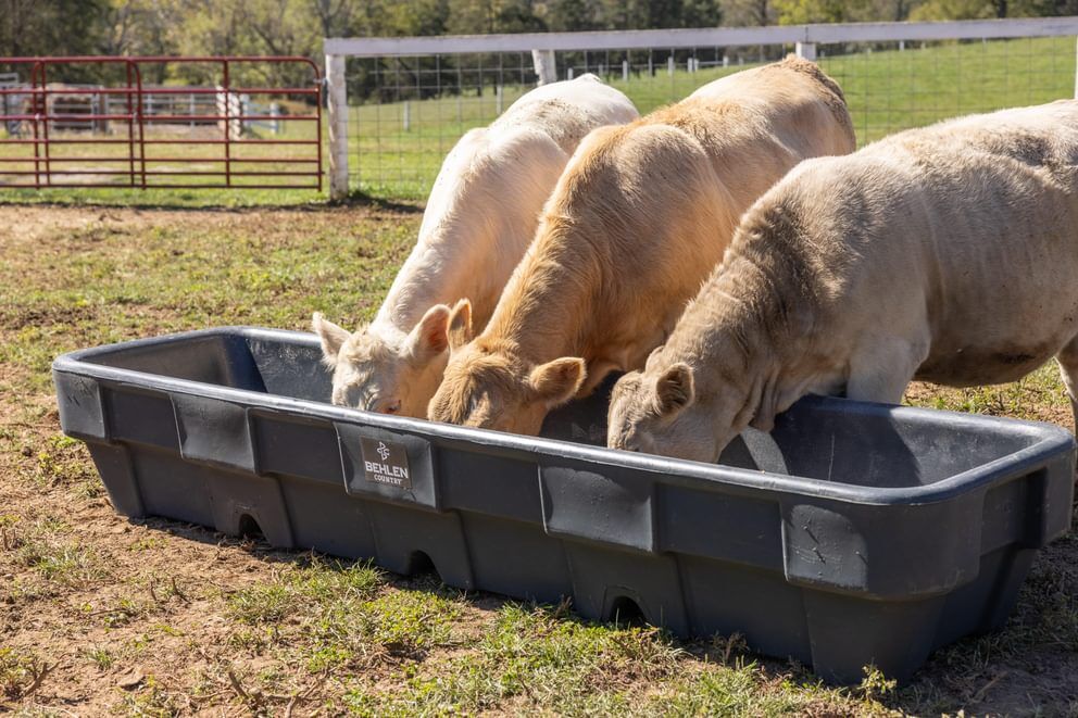 Behlen Country Gray EverTough Poly Bunk Feeder, 10-Ft