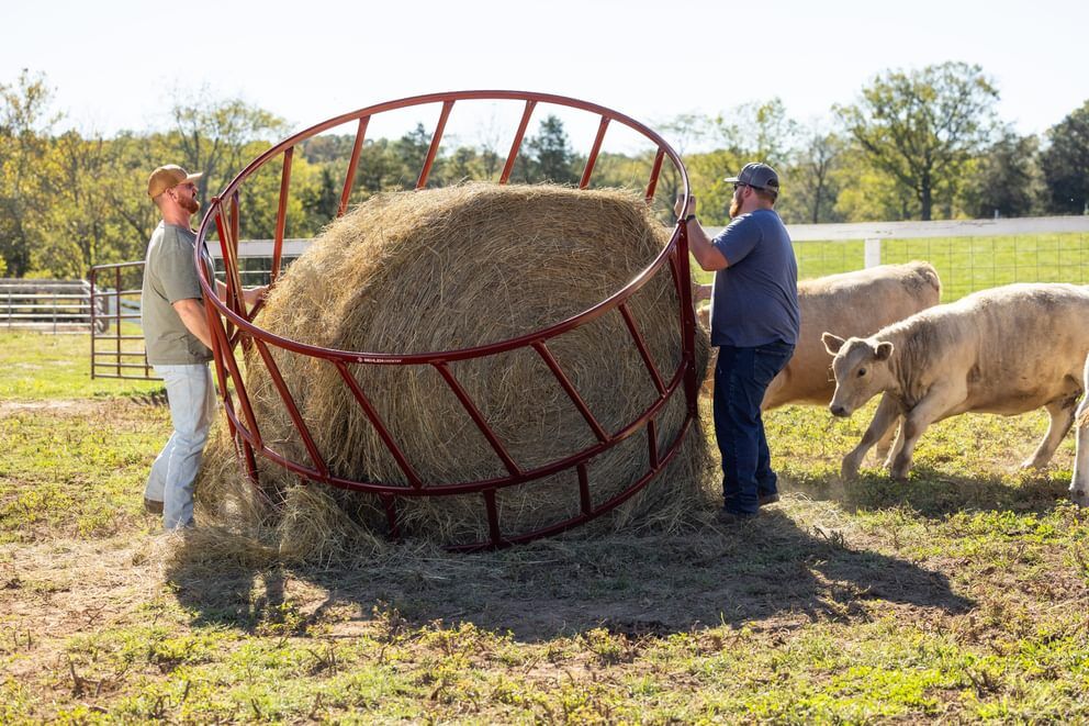 Behlen Country Green ProStock Feeder, 8-Ft