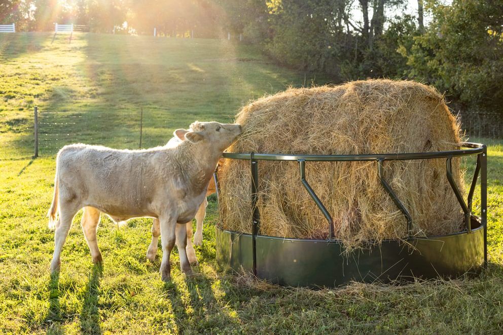 Behlen Country Green Hay Guard Round Bale Feeder, 8-Ft