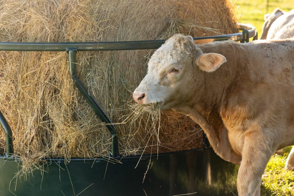 Behlen Country Green Hay Guard Round Bale Feeder, 8-Ft